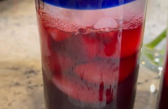 Agua de Jamaica